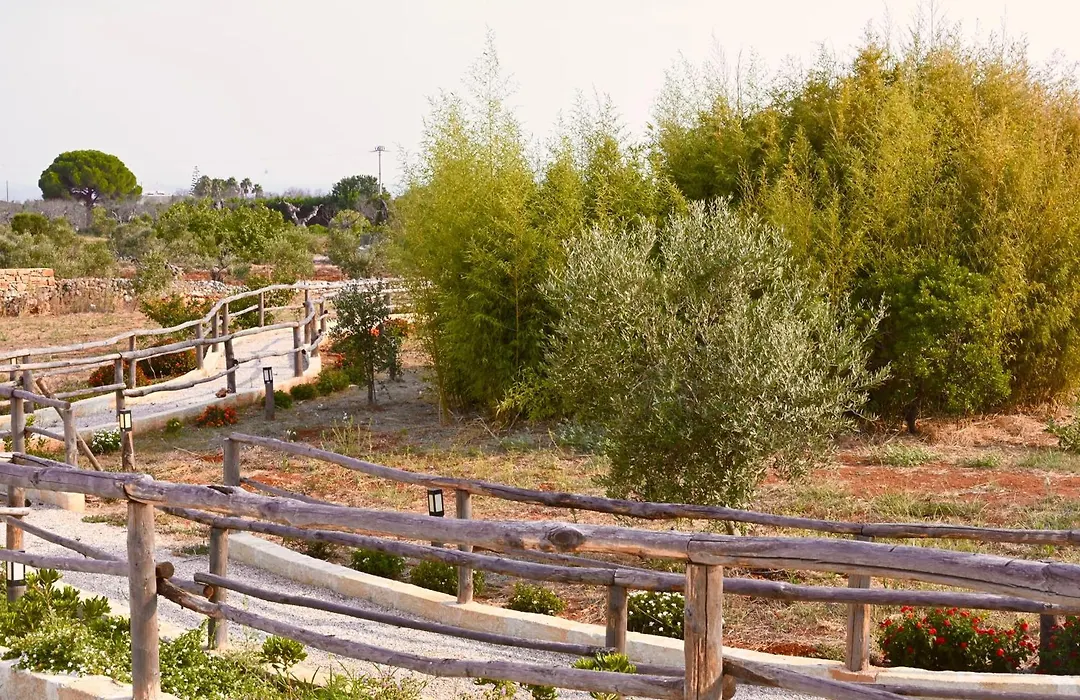 Tenuta Serre-1